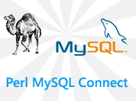 Conexão Perl MySQL